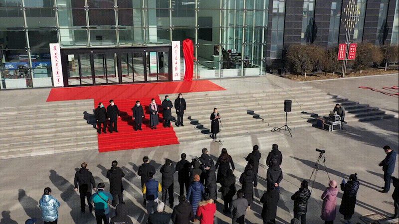 媒介投放公司定制方案：揭秘定制化营销的奥秘