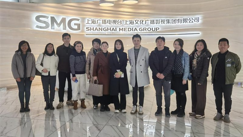 抖音短视频素材网站：揭秘背后的运营之道